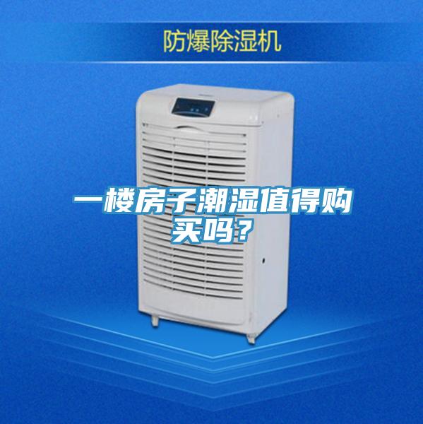 一樓房子潮濕值得購買嗎？