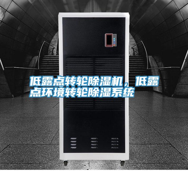 低露點(diǎn)轉(zhuǎn)輪除濕機(jī)，低露點(diǎn)環(huán)境轉(zhuǎn)輪除濕系統(tǒng)