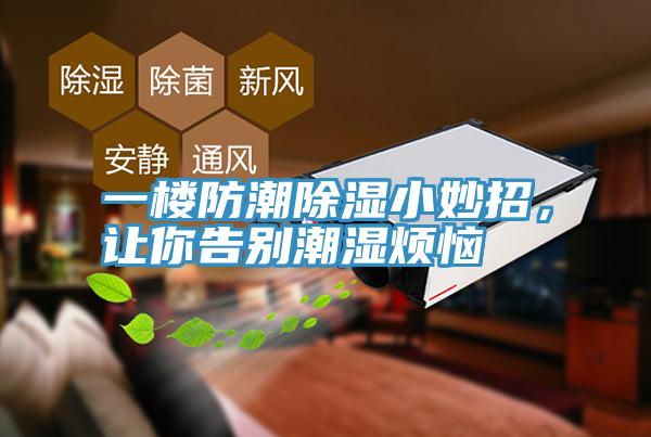 一樓防潮除濕小妙招，讓你告別潮濕煩惱