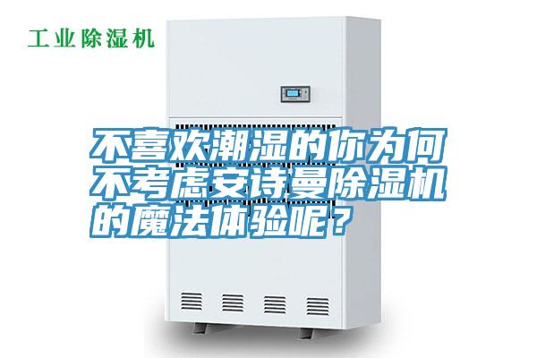 不喜歡潮濕的你為何不考慮安詩曼除濕機的魔法體驗呢？