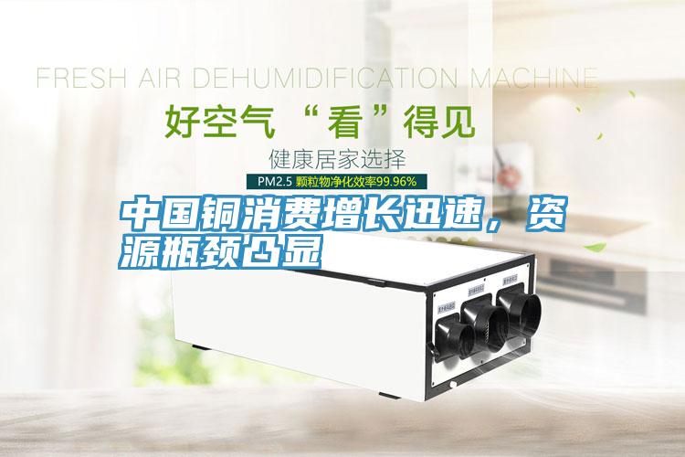 中國銅消費增長迅速，資源瓶頸凸顯