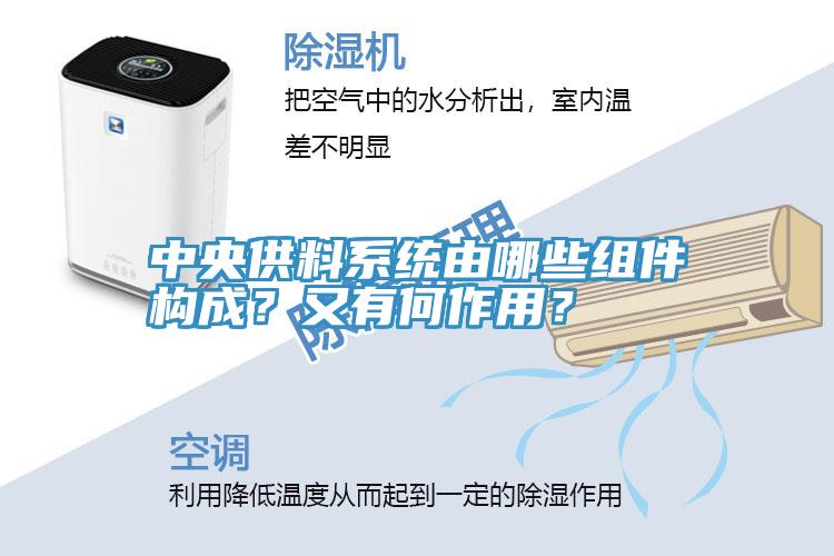 中央供料系統(tǒng)由哪些組件構成？又有何作用？