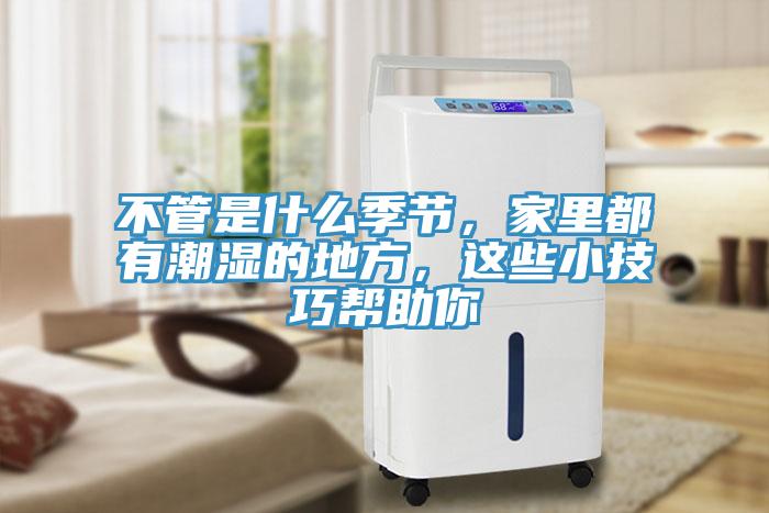 不管是什么季節(jié)，家里都有潮濕的地方，這些小技巧幫助你