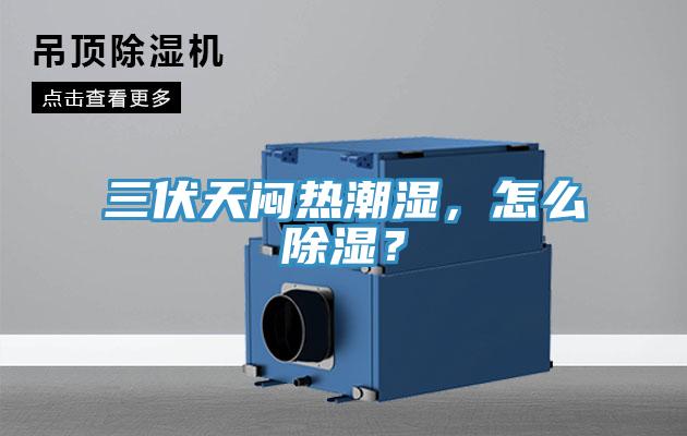 三伏天悶熱潮濕，怎么除濕？