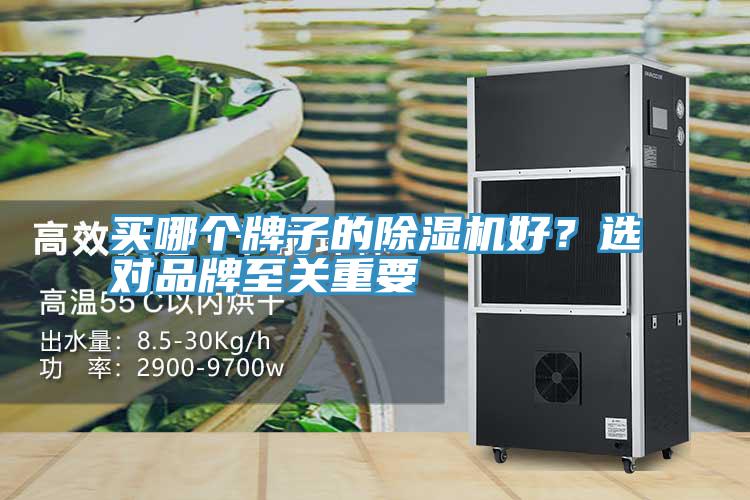 買哪個牌子的除濕機好？選對品牌至關(guān)重要