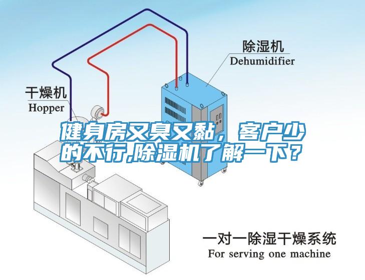 健身房又臭又黏，客戶少的不行,除濕機(jī)了解一下？