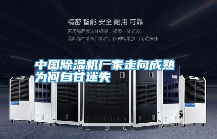 中國(guó)除濕機(jī)廠(chǎng)家走向成熟 為何自甘迷失