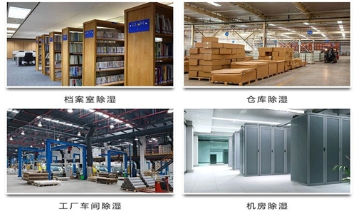 為什么竹筍烘干房需要除濕機？