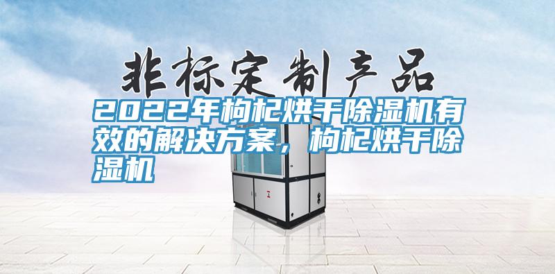 2022年枸杞烘干除濕機有效的解決方案，枸杞烘干除濕機