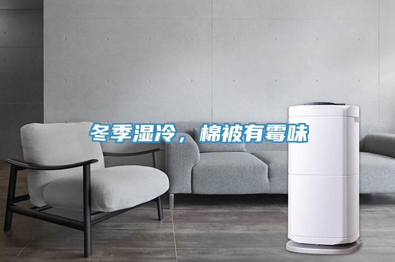 冬季濕冷，棉被有霉味