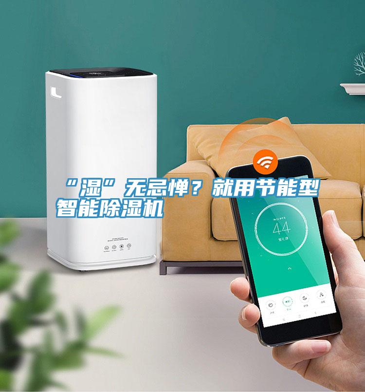 “濕”無忌憚？就用節(jié)能型智能除濕機(jī)