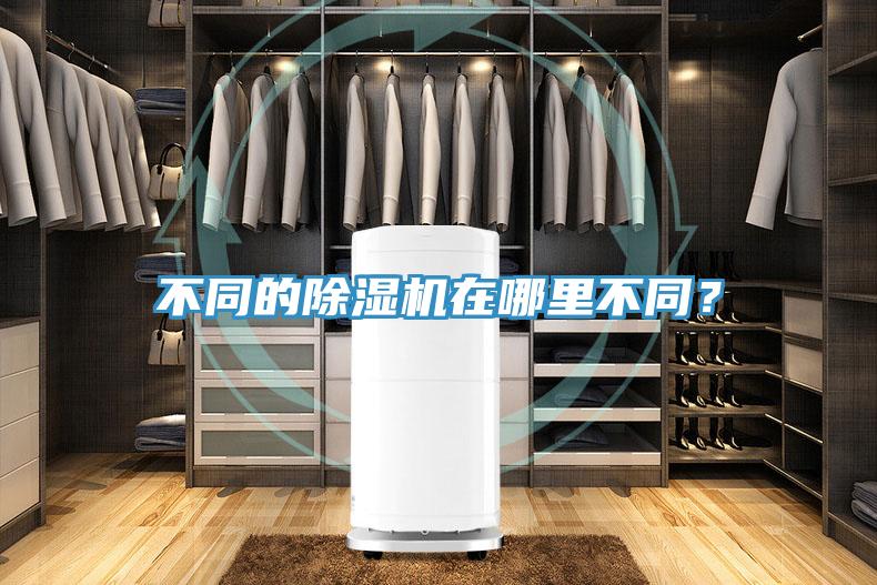 不同的除濕機在哪里不同？