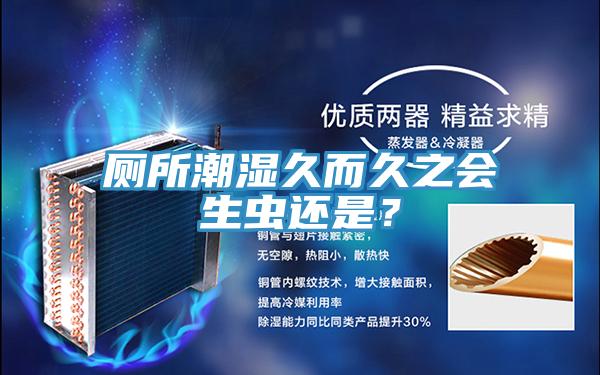 廁所潮濕久而久之會生蟲還是？