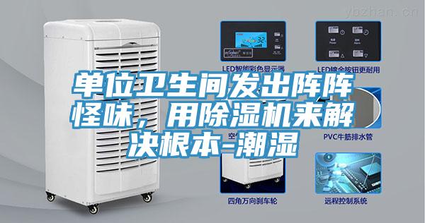 單位衛(wèi)生間發(fā)出陣陣怪味，用除濕機(jī)來解決根本-潮濕