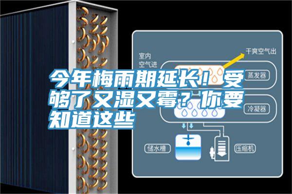 今年梅雨期延長！受夠了又濕又霉？你要知道這些