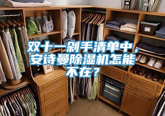 雙十一剁手清單中，安詩曼除濕機怎能不在？