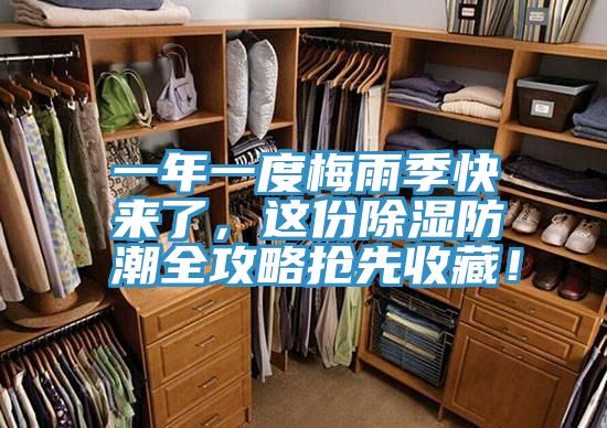 一年一度梅雨季快來了，這份除濕防潮全攻略搶先收藏！