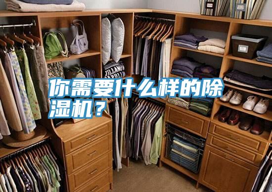 你需要什么樣的除濕機(jī)？