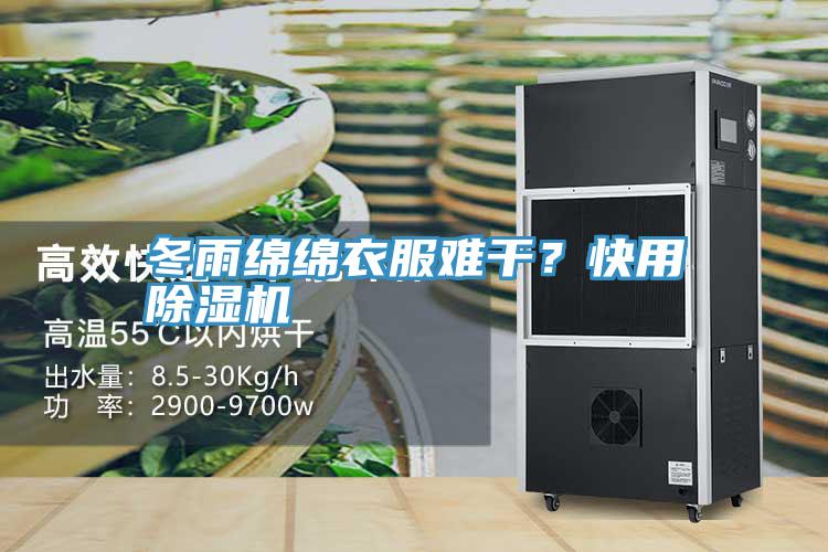 冬雨綿綿衣服難干？快用除濕機