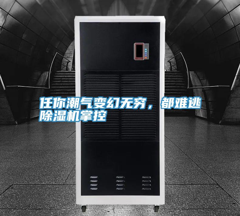 任你潮氣變幻無窮，都難逃除濕機(jī)掌控