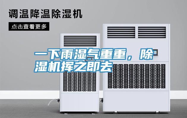 一下雨濕氣重重，除濕機(jī)揮之即去