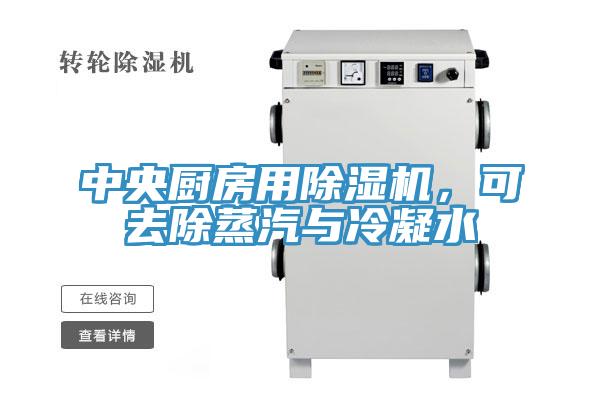 中央廚房用除濕機，可去除蒸汽與冷凝水