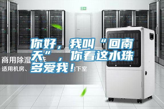 你好，我叫“回南天”，你看這水珠多愛我！