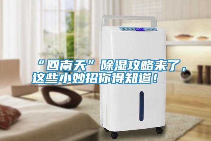 “回南天”除濕攻略來了，這些小妙招你得知道！