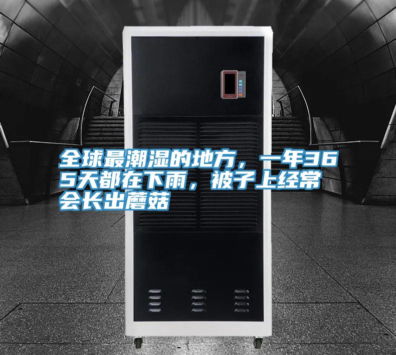全球最潮濕的地方，一年365天都在下雨，被子上經(jīng)常會(huì)長出蘑菇