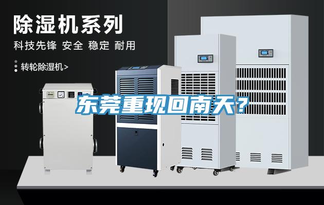 東莞重現(xiàn)回南天？