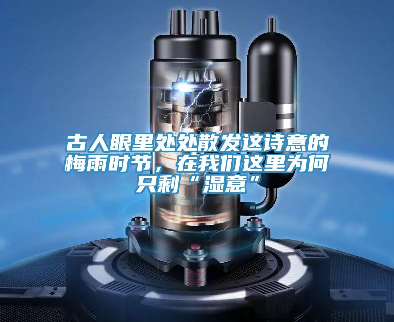 古人眼里處處散發(fā)這詩意的梅雨時節(jié)，在我們這里為何只剩“濕意”