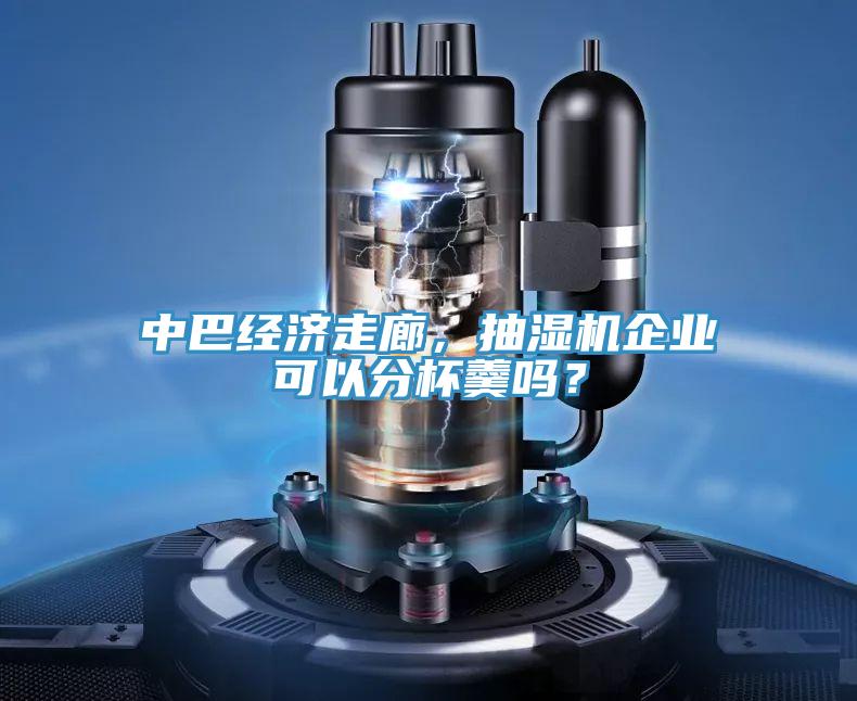 中巴經(jīng)濟(jì)走廊，抽濕機(jī)企業(yè)可以分杯羹嗎？