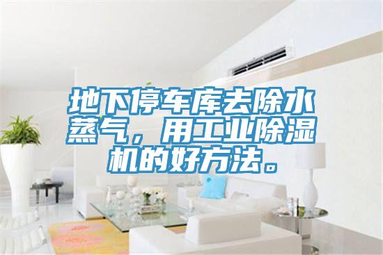 地下停車庫去除水蒸氣，用工業(yè)除濕機(jī)的好方法。