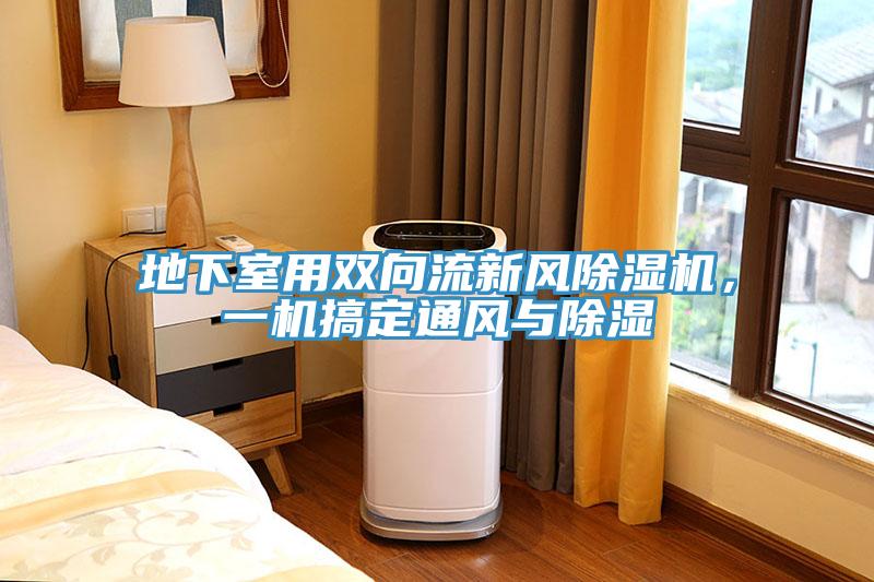 地下室用雙向流新風(fēng)除濕機(jī)，一機(jī)搞定通風(fēng)與除濕