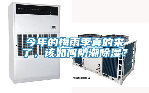 今年的梅雨季真的來了，該如何防潮除濕？