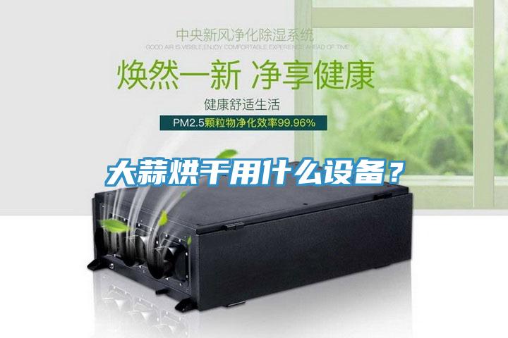 大蒜烘干用什么設備？