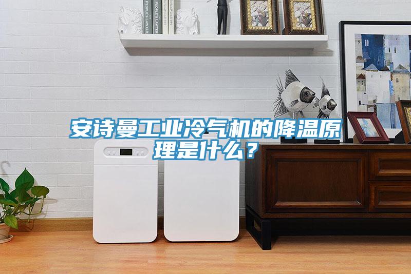 安詩(shī)曼工業(yè)冷氣機(jī)的降溫原理是什么？