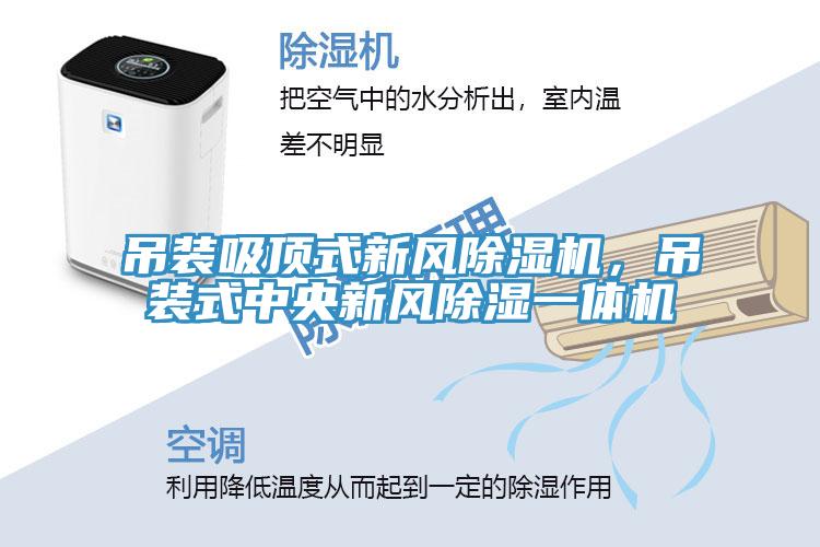 吊裝吸頂式新風(fēng)除濕機(jī)，吊裝式中央新風(fēng)除濕一體機(jī)