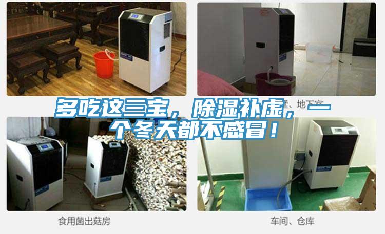 多吃這三寶，除濕補虛，一個冬天都不感冒！