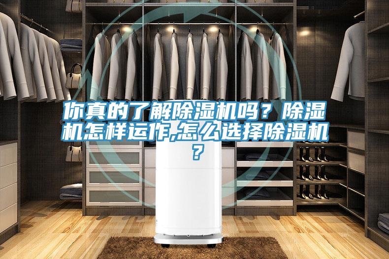 你真的了解除濕機(jī)嗎？除濕機(jī)怎樣運(yùn)作,怎么選擇除濕機(jī)？