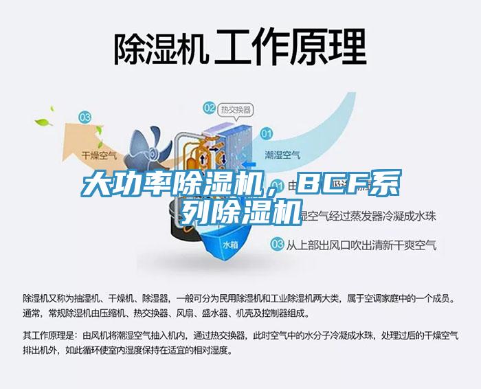 大功率除濕機(jī)，BCF系列除濕機(jī)