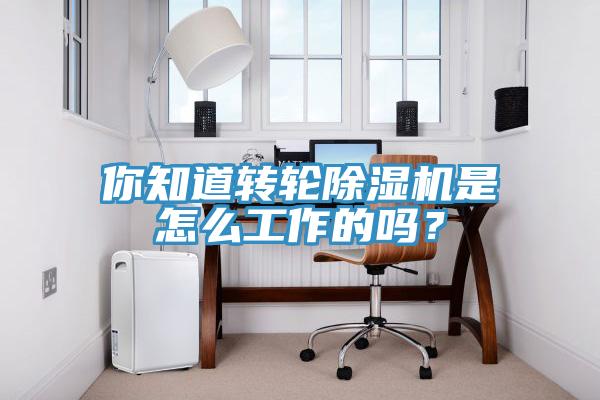 你知道轉(zhuǎn)輪除濕機(jī)是怎么工作的嗎？