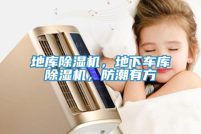 地庫除濕機，地下車庫除濕機，防潮有方