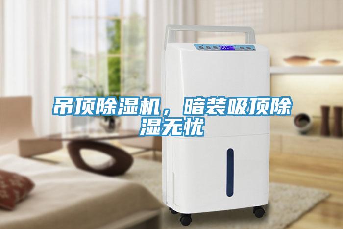 吊頂除濕機(jī)，暗裝吸頂除濕無憂