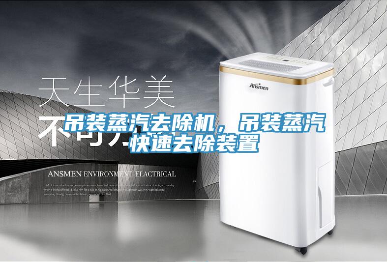 吊裝蒸汽去除機(jī)，吊裝蒸汽快速去除裝置