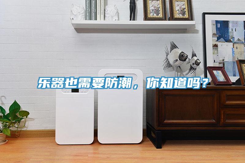 樂器也需要防潮，你知道嗎？