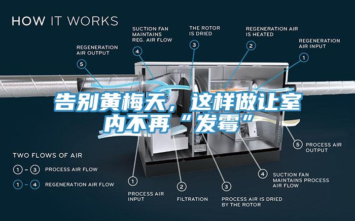 告別黃梅天，這樣做讓室內(nèi)不再“發(fā)霉”
