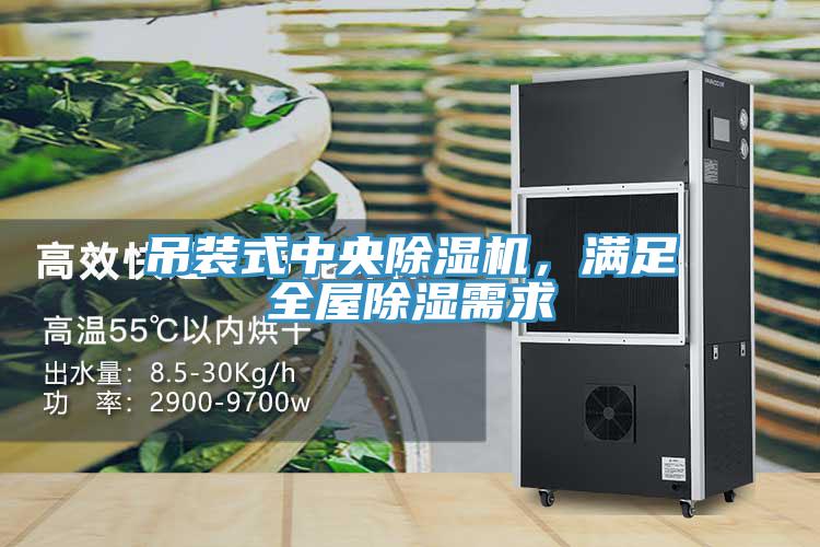 吊裝式中央除濕機(jī)，滿足全屋除濕需求