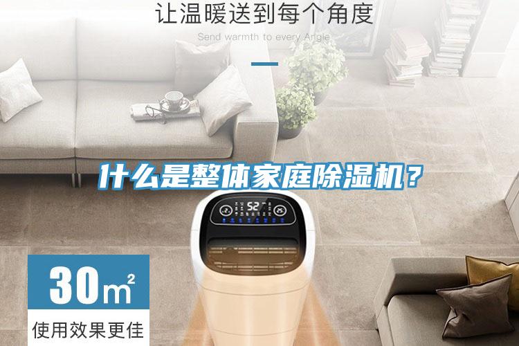 什么是整體家庭除濕機？