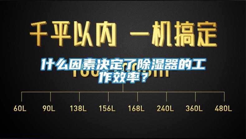 什么因素決定了除濕器的工作效率？